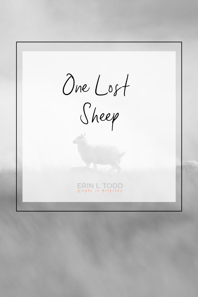 one lost sheep